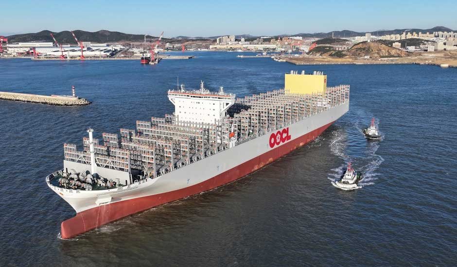 oocl-sunflower